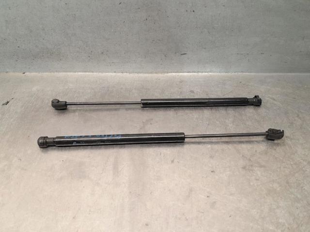 Amortecedor de vidro de porta-malas (de 3ª/5ª porta traseira (de tampa de alcapão) 90460EA500 NISSAN