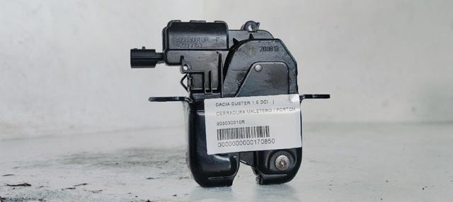 905030010R Renault (RVI)