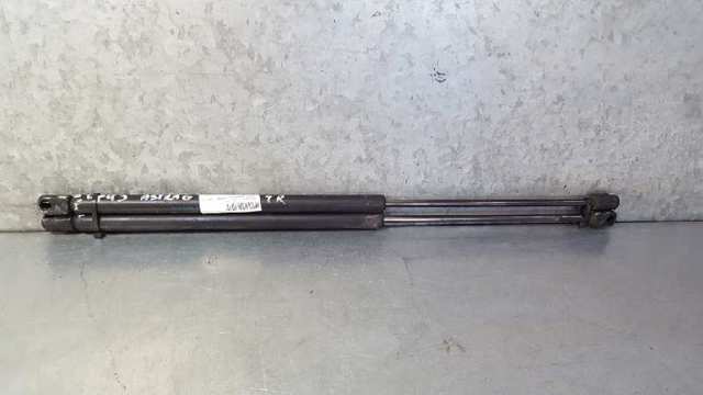 Amortecedor de tampa de porta-malas (de 3ª/5ª porta traseira) 90559245 OPEL