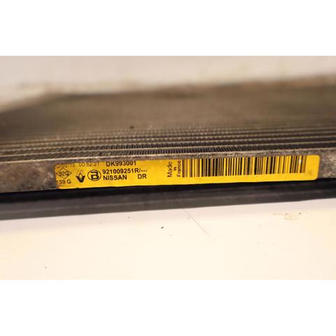 921009251R Nissan/Infiniti