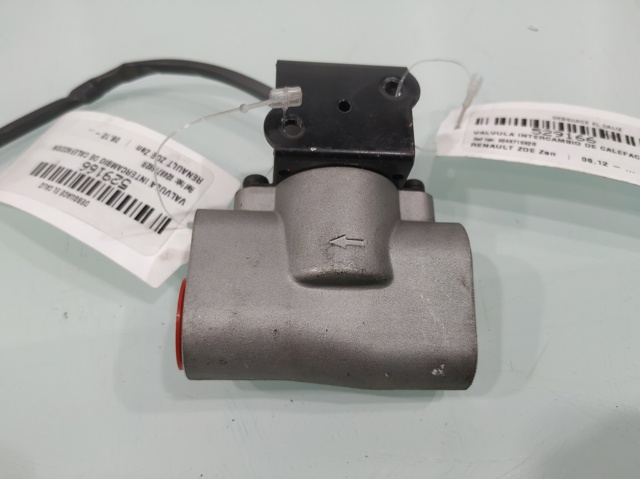 924871682R Renault (RVI)