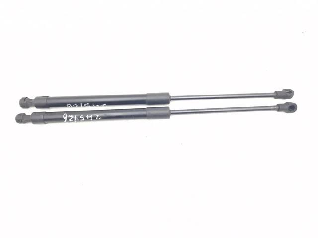 Amortecedor da capota 95017985 GM