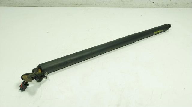 Amortecedor de tampa de porta-malas (de 3ª/5ª porta traseira) 95851285107 PORSCHE