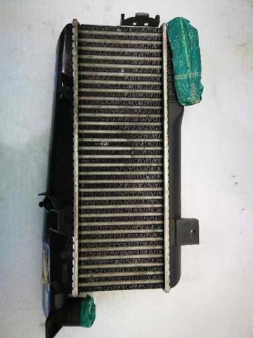 9613541380 Peugeot/Citroen
