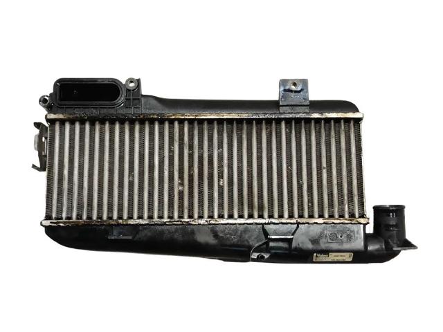 9613541380 Peugeot/Citroen