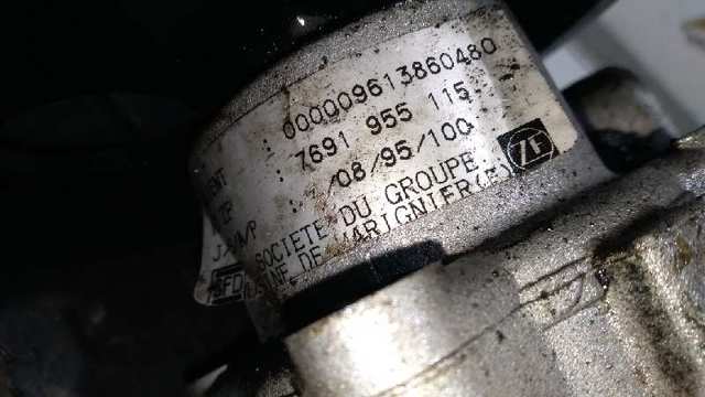 9613860480 Peugeot/Citroen