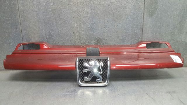 9616258477 Peugeot/Citroen