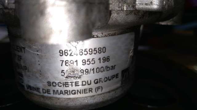 9624659580 Peugeot/Citroen