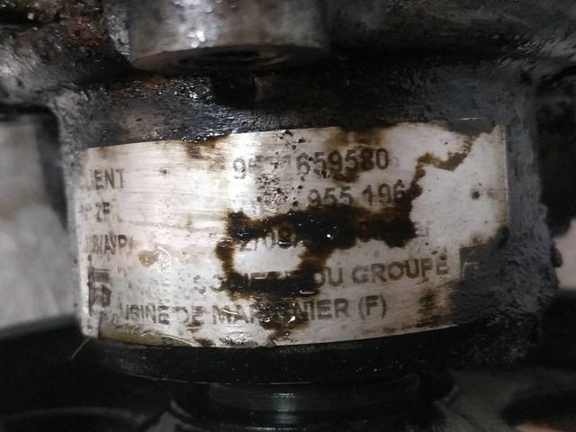 9624659580 Peugeot/Citroen