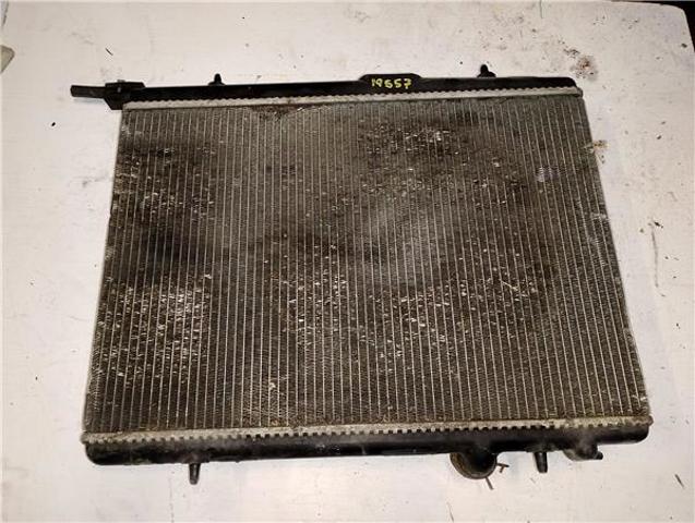 9625186680 Peugeot/Citroen
