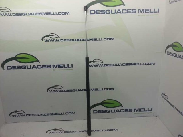 9625574380 Peugeot/Citroen