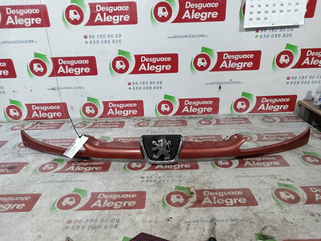 9628691277 Peugeot/Citroen