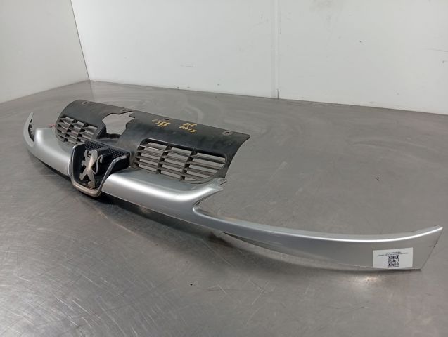 Grelha do radiador 9628934280 PEUGEOT