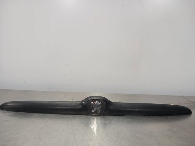 9629038877 Peugeot/Citroen