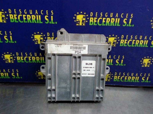 9629372880 Peugeot/Citroen