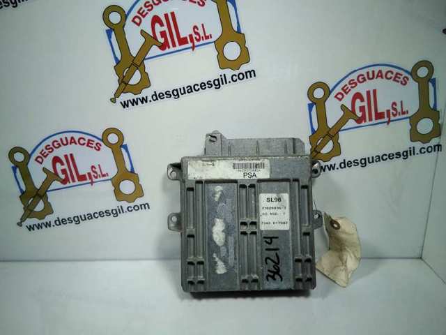 9629372880 Peugeot/Citroen