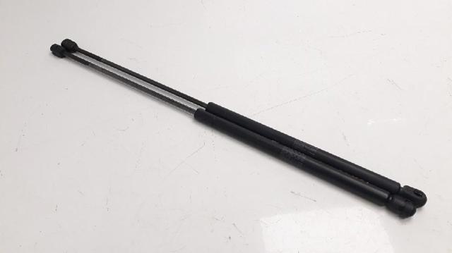 Amortecedor de tampa de porta-malas (de 3ª/5ª porta traseira) 9629736780 PEUGEOT