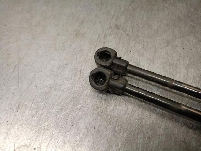 Amortecedor de tampa de porta-malas (de 3ª/5ª porta traseira) 9629736780 PEUGEOT