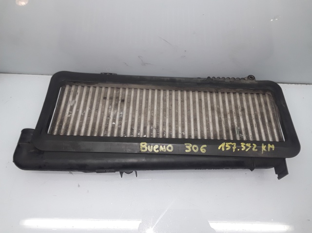 9631189680 Peugeot/Citroen