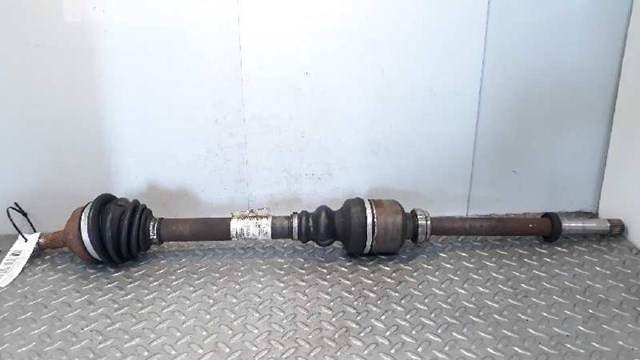9632687980 Peugeot/Citroen