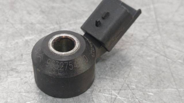 9632754980 Peugeot/Citroen