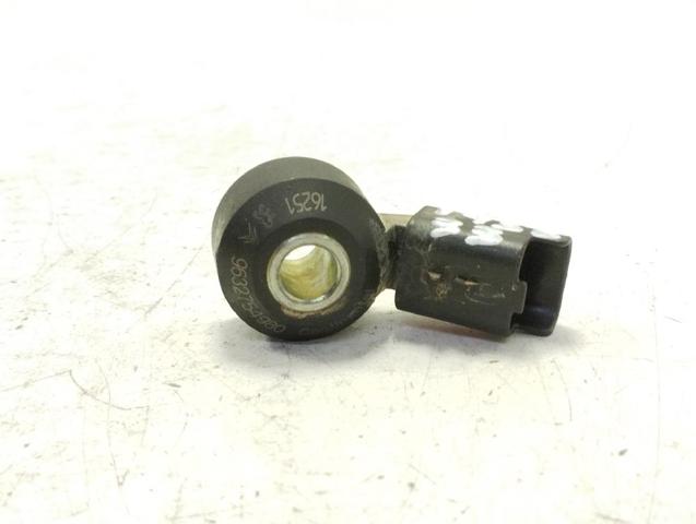 9632754980 Peugeot/Citroen