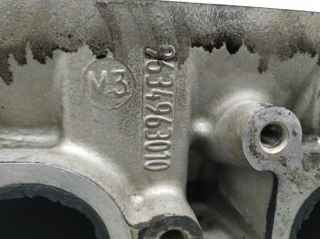 9634963010 Peugeot/Citroen