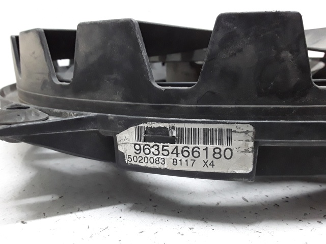 9635466180 Peugeot/Citroen