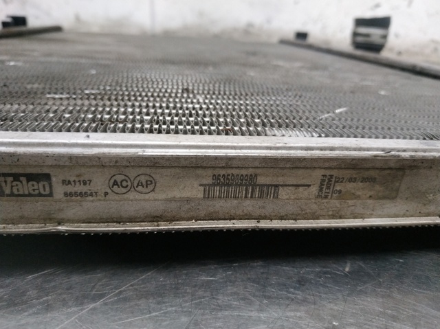 9635989980 Peugeot/Citroen