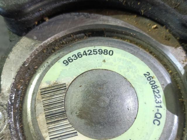 9636425980 Peugeot/Citroen