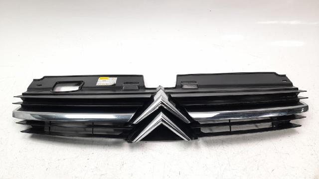9636751980 Peugeot/Citroen