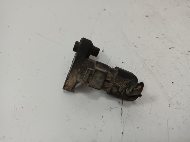 9637466980 Peugeot/Citroen