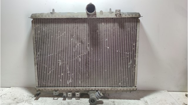 9638083880 Peugeot/Citroen