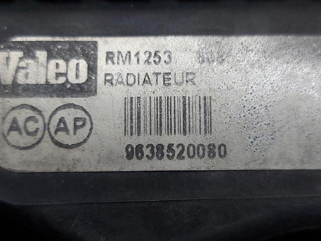 9638520080 Peugeot/Citroen