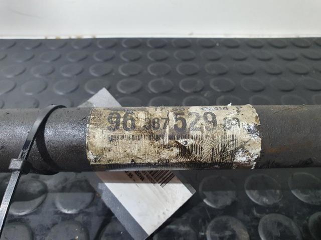 9638752980 Peugeot/Citroen