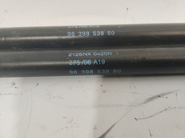 9639853880 Peugeot/Citroen