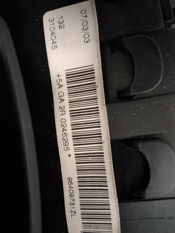96409731ZL Peugeot/Citroen
