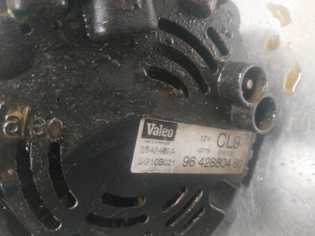 9642880480 Peugeot/Citroen
