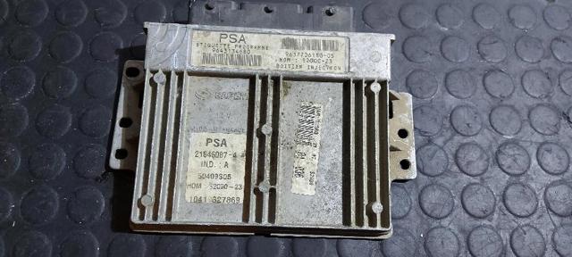 9643134680 Peugeot/Citroen