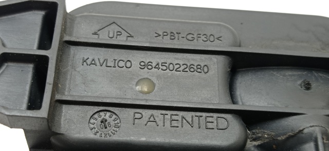 9645022680 Peugeot/Citroen