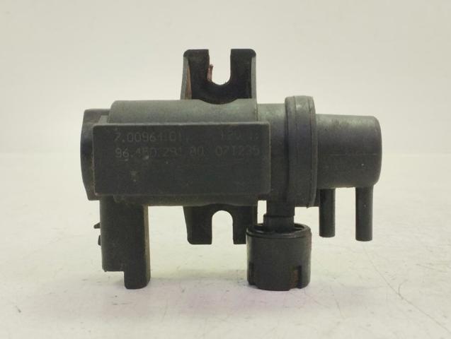 9645029180 Peugeot/Citroen