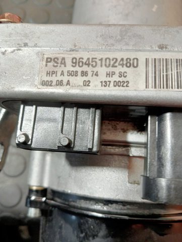 9645102480 Peugeot/Citroen
