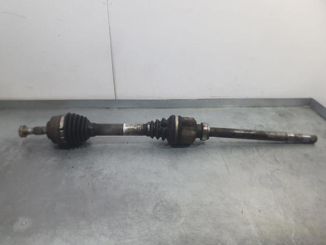 9645219180 Peugeot/Citroen