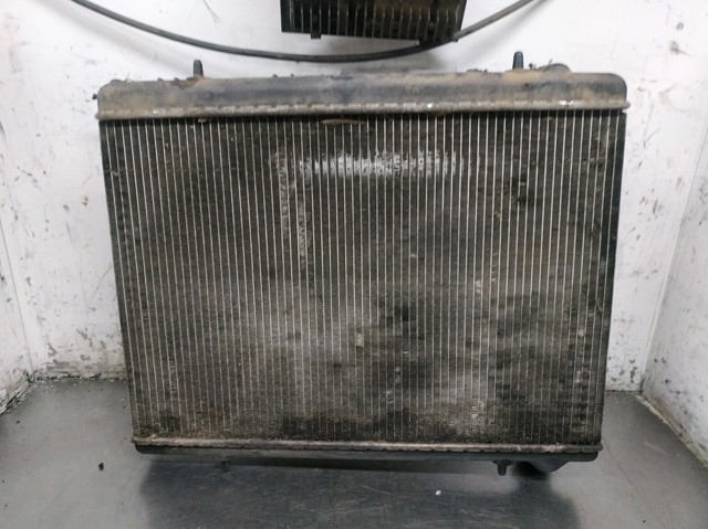 9645658080 Peugeot/Citroen