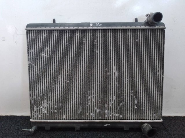 9645658080 Peugeot/Citroen