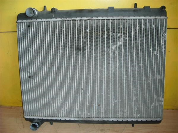 9645658080 Peugeot/Citroen