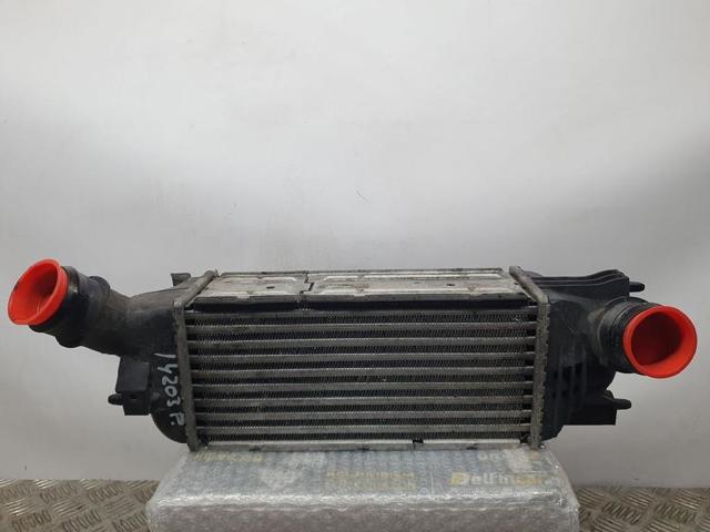 9645682880 Peugeot/Citroen