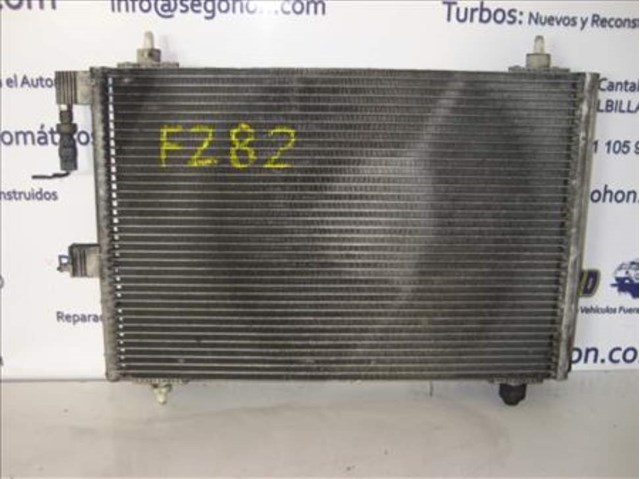 9645974780 Peugeot/Citroen