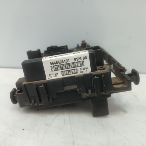 9646405480 Peugeot/Citroen
