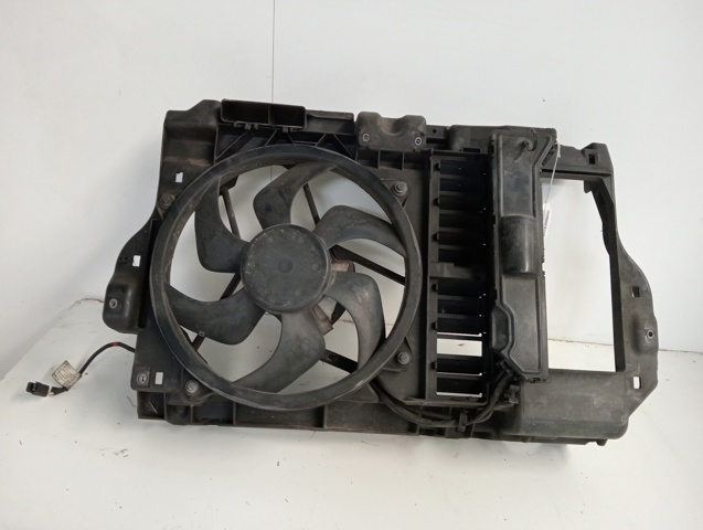 9646474780 Peugeot/Citroen